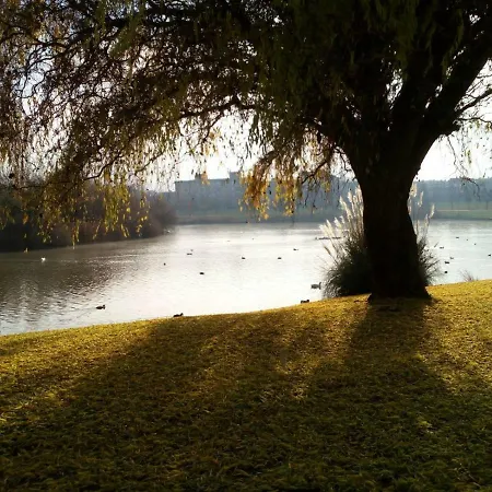 La Laguna