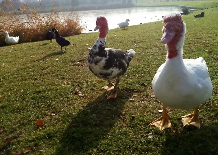 La Laguna 라구나데두에로