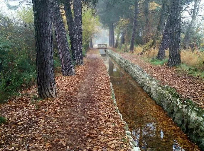 La Laguna 아파트 *